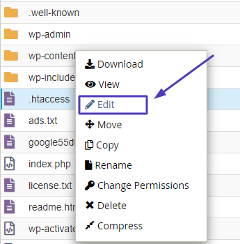 open-htaccess-file-in-edit-mode