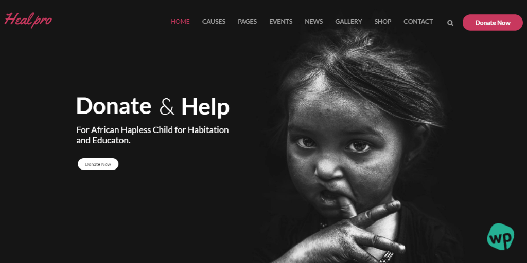 healpro-multipurpose-charity-wordpress-theme