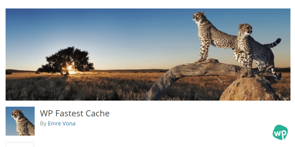 wp-fastest-cache